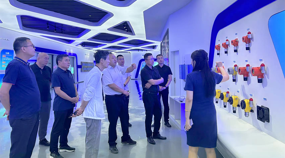 乌海市海南区副区长陈海啸等领导一行莅临驰诚闲庄和游戏考察指导