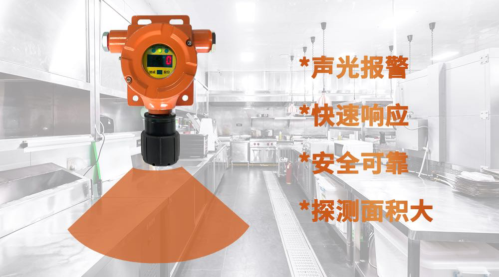 如何根据使用环境选择合适的气体检测仪？