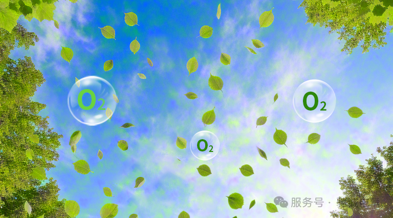 认识气体的：氧气浓度监测与预防