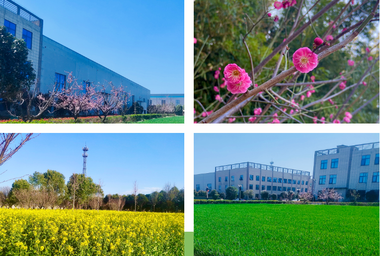 春光不负赶路人|驰诚闲庄和游戏奏响“春日奋斗曲”